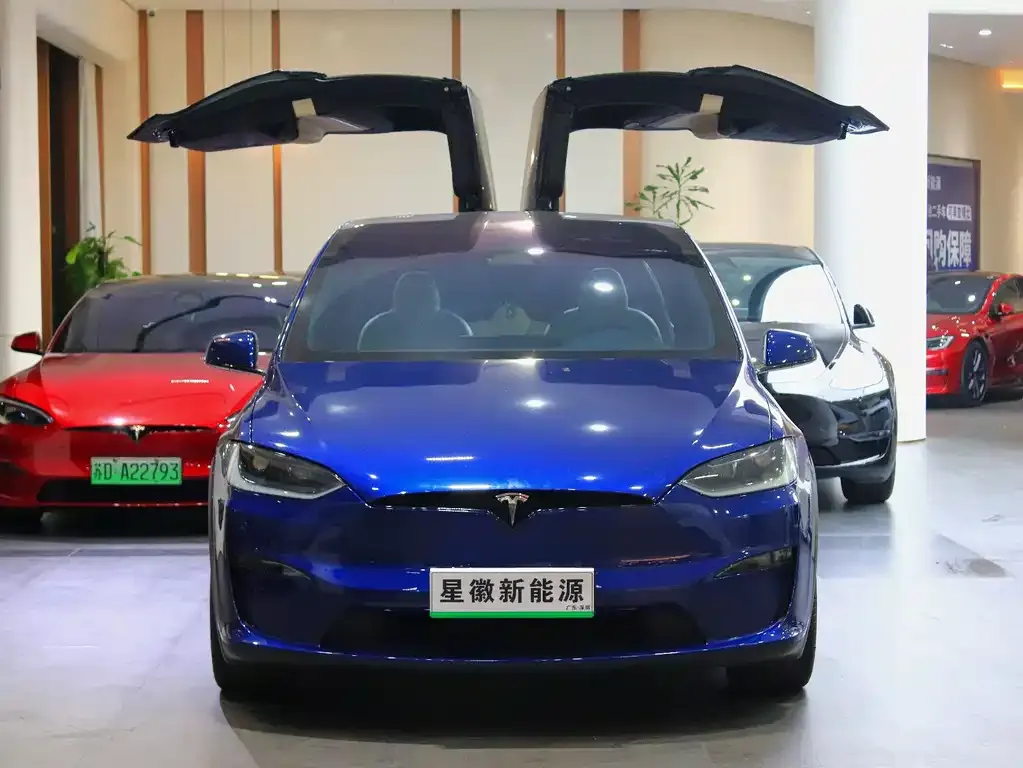Tesla Model X — фото 5
