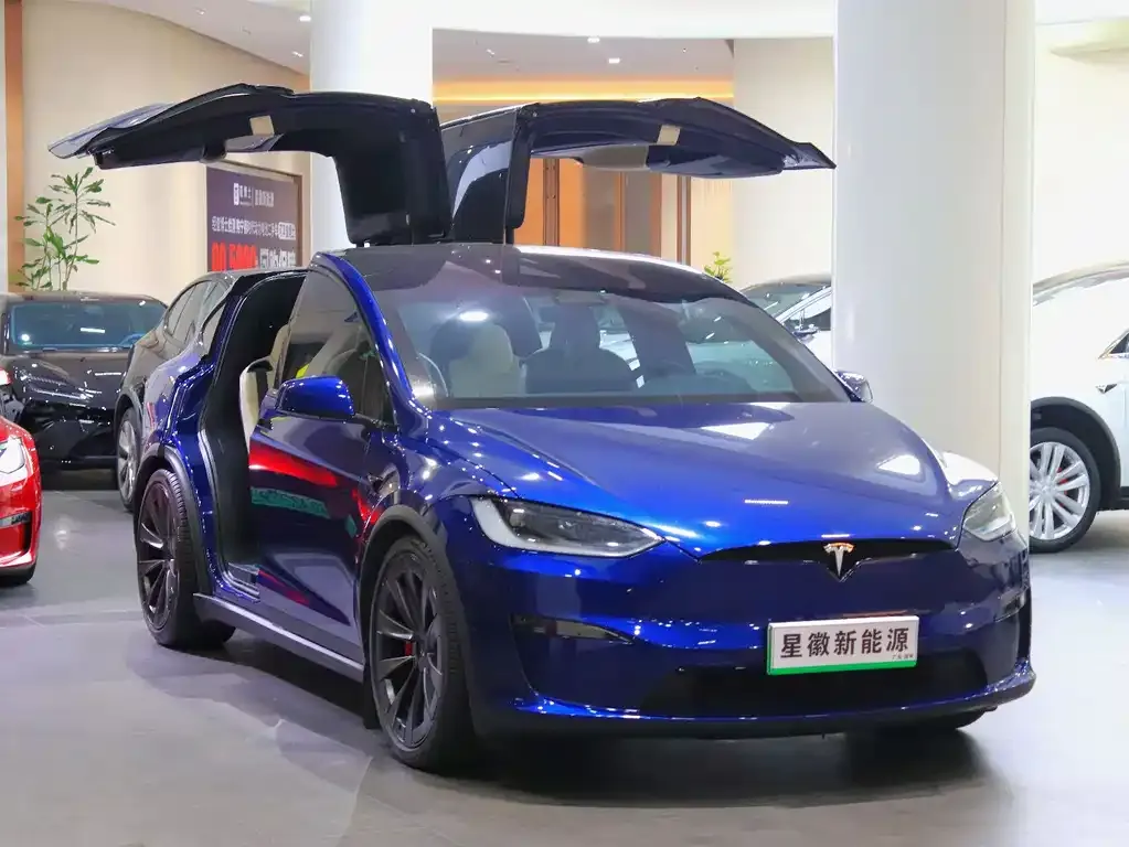 Tesla Model X — фото 10