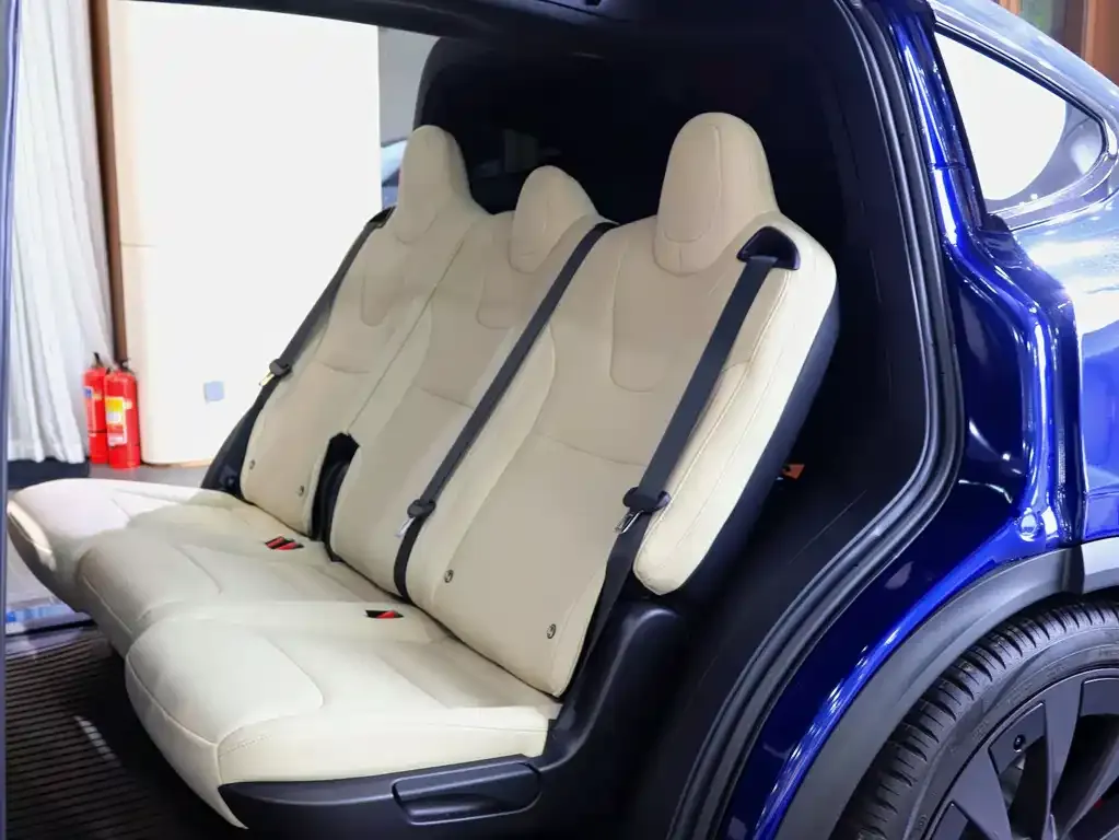 Tesla Model X — фото 9