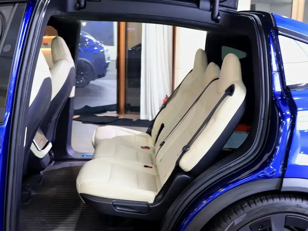 Tesla Model X — фото 7