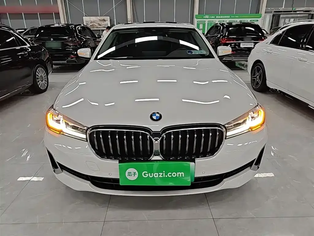 BMW 5 Series New Energy — фото 10