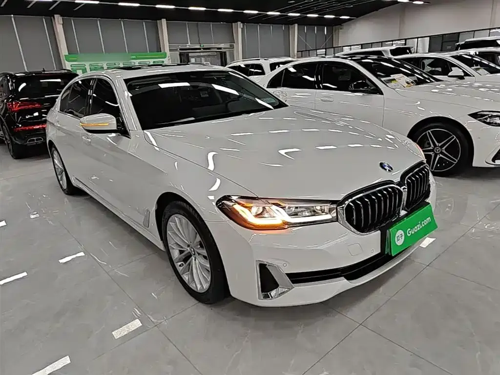BMW 5 Series New Energy — фото 8
