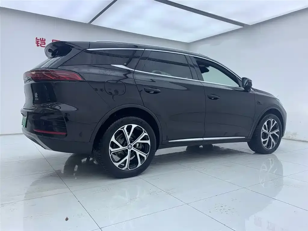 BYD Tang New Energy — фото 10
