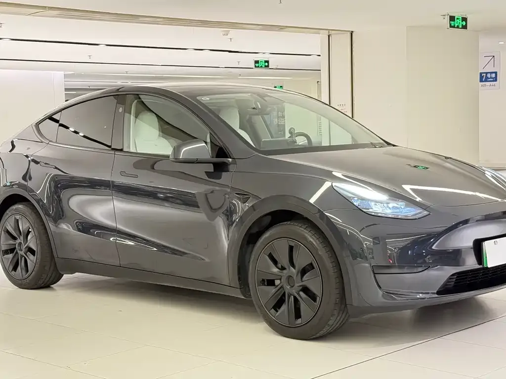 Tesla Model Y — фото 6