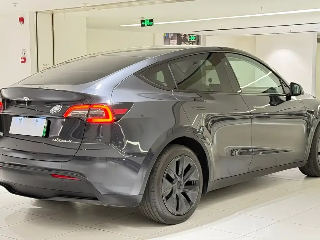 Tesla Model Y — фото 2