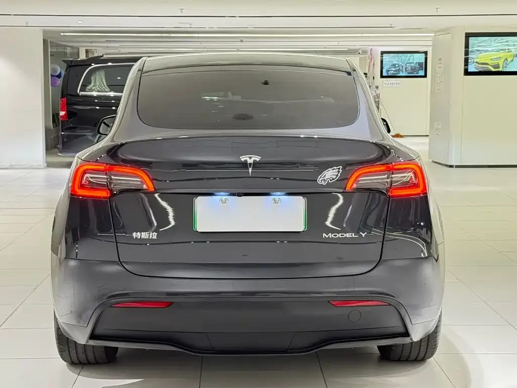 Tesla Model Y — фото 10