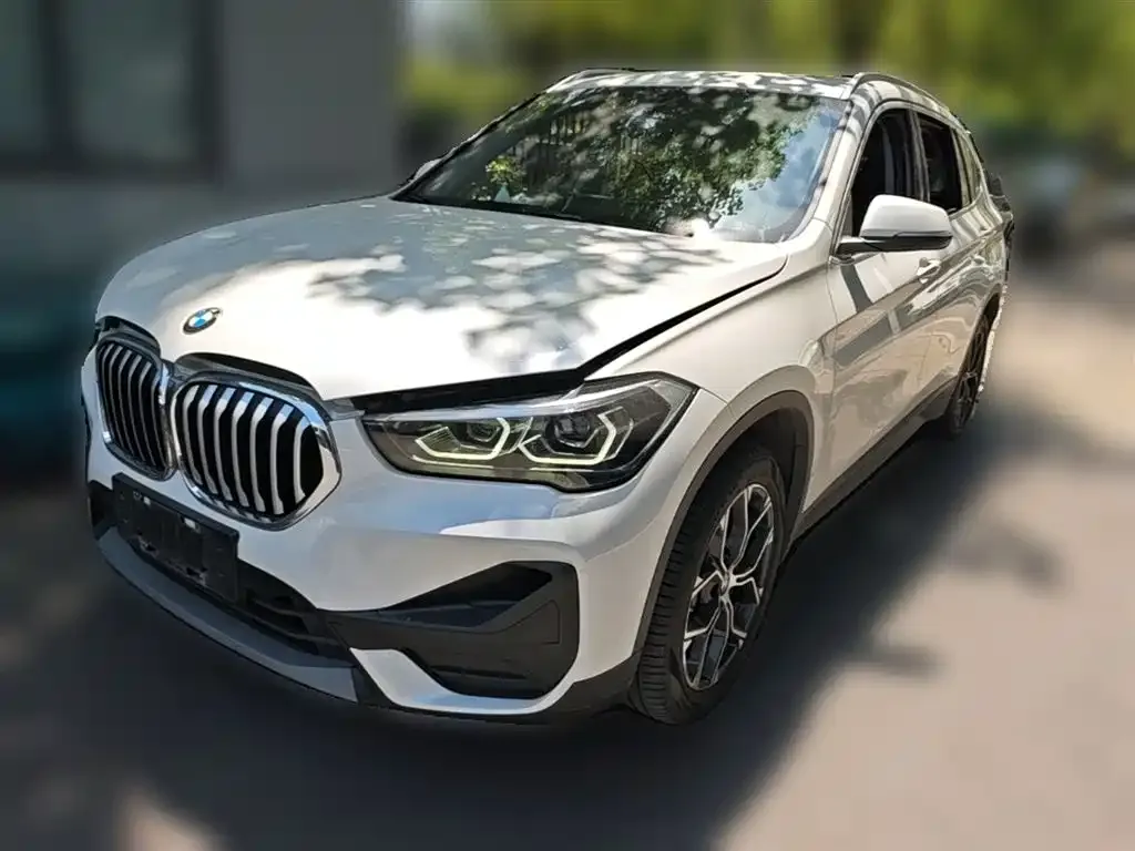 BMW X1 — фото 1