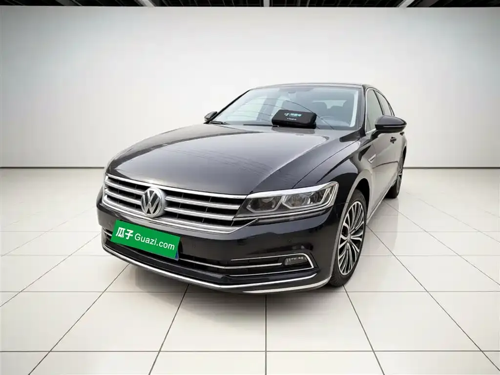 Volkswagen Phideon — фото 8