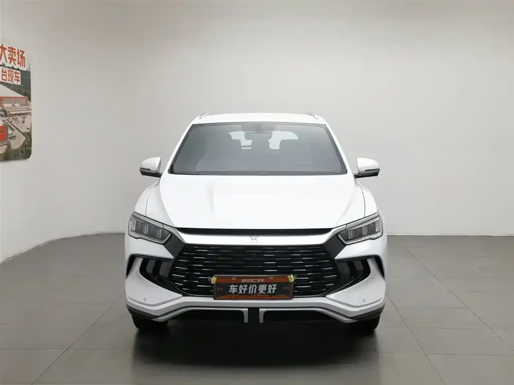 BYD Pro New Energy — фото 2