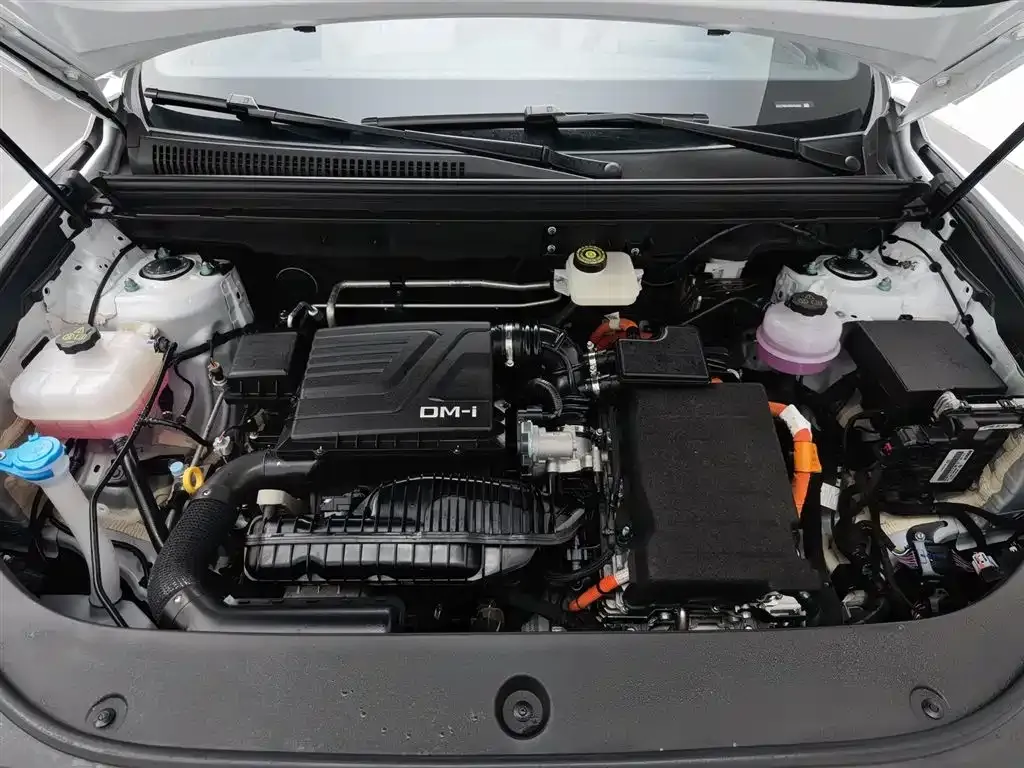 BYD Pro New Energy — фото 10