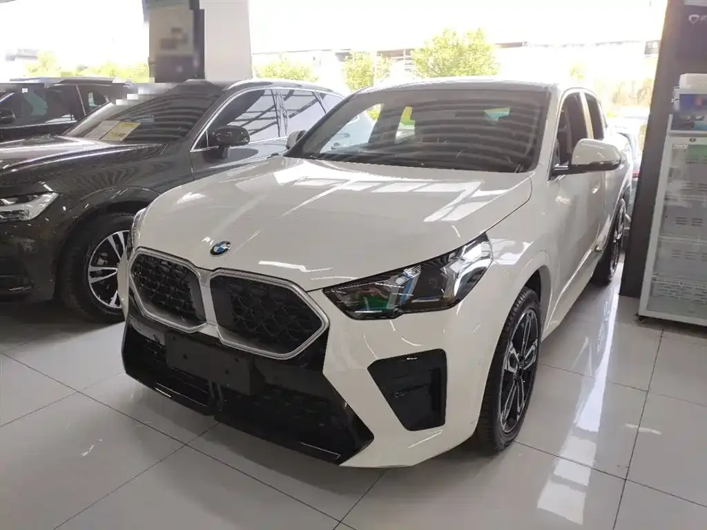 BMW X2 (Import) — фото 7