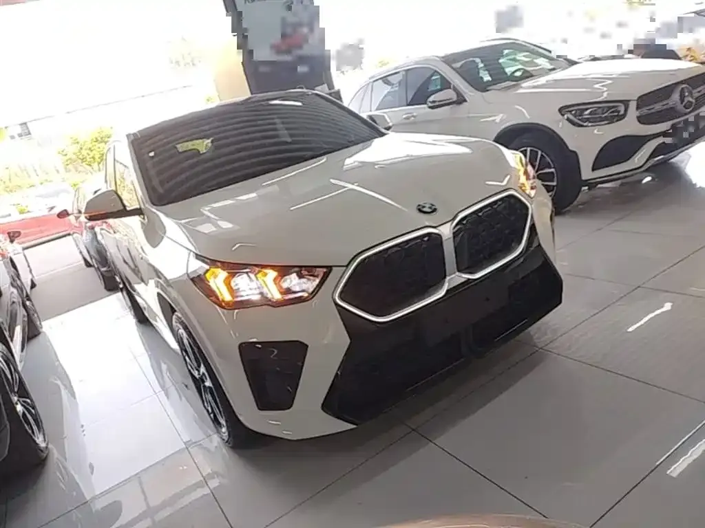 BMW X2 (Import) — фото 8