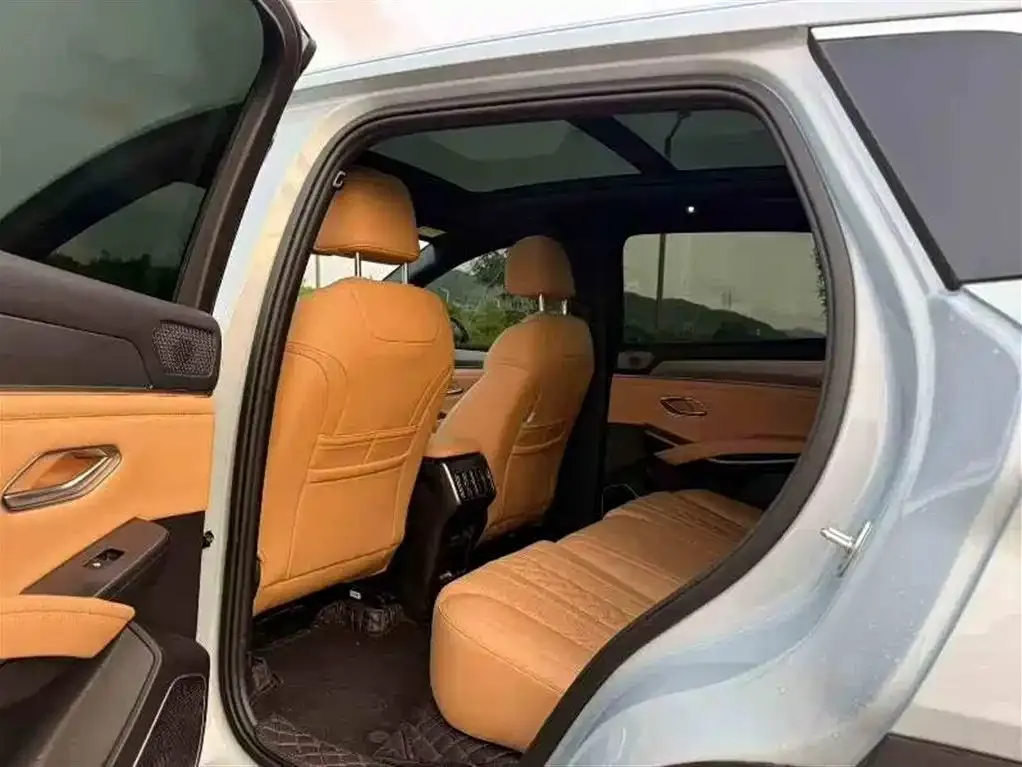 BYD L DM-i — фото 8