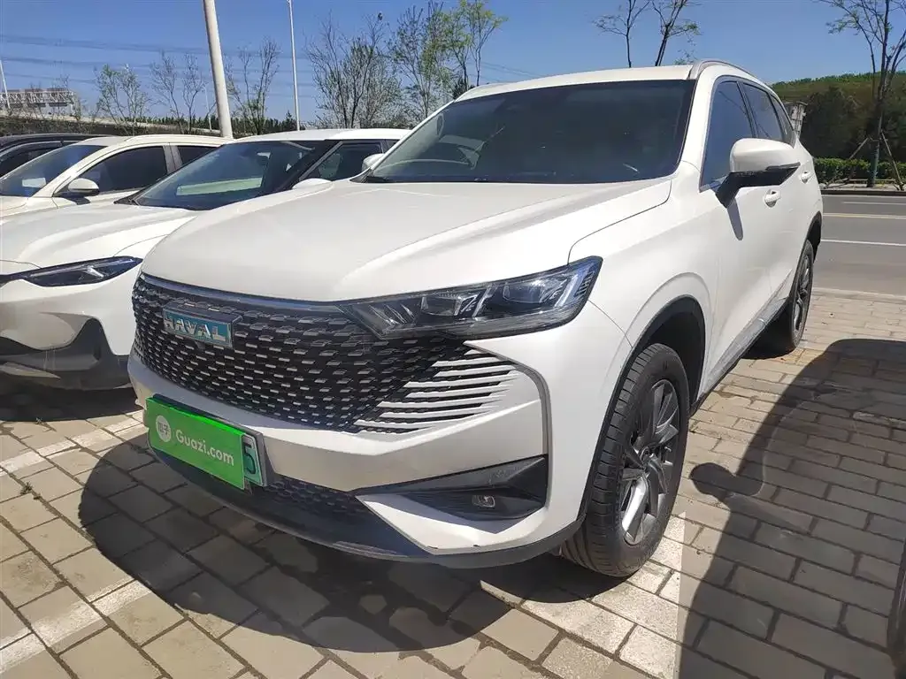 Haval H6 New Energy — фото 7