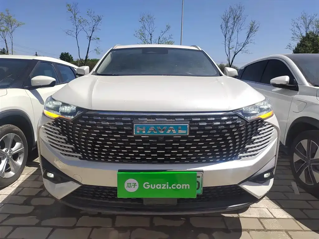 Haval H6 New Energy — фото 6