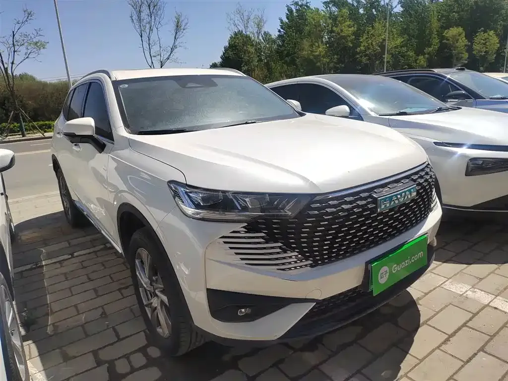 Haval H6 New Energy — фото 8