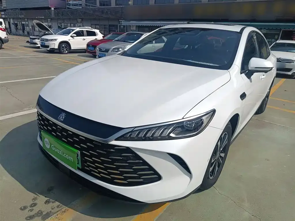BYD Qin PLUS — фото 2