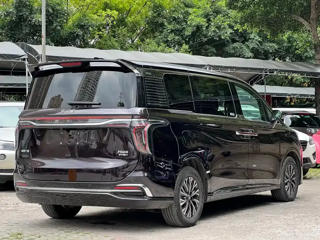 Hongqi HQ9 PHEV — фото 9