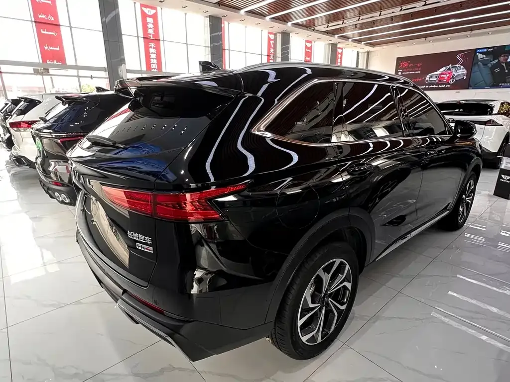 Haval Xiaolong MAX — фото 3