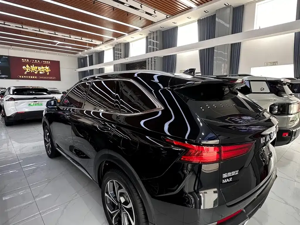 Haval Xiaolong MAX — фото 4