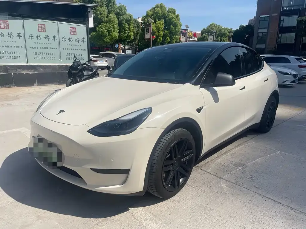Tesla Model Y — фото 1