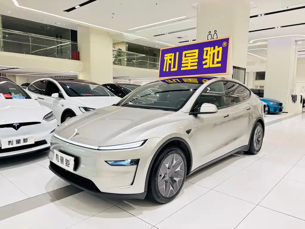 Tesla Model Y L — фото 1
