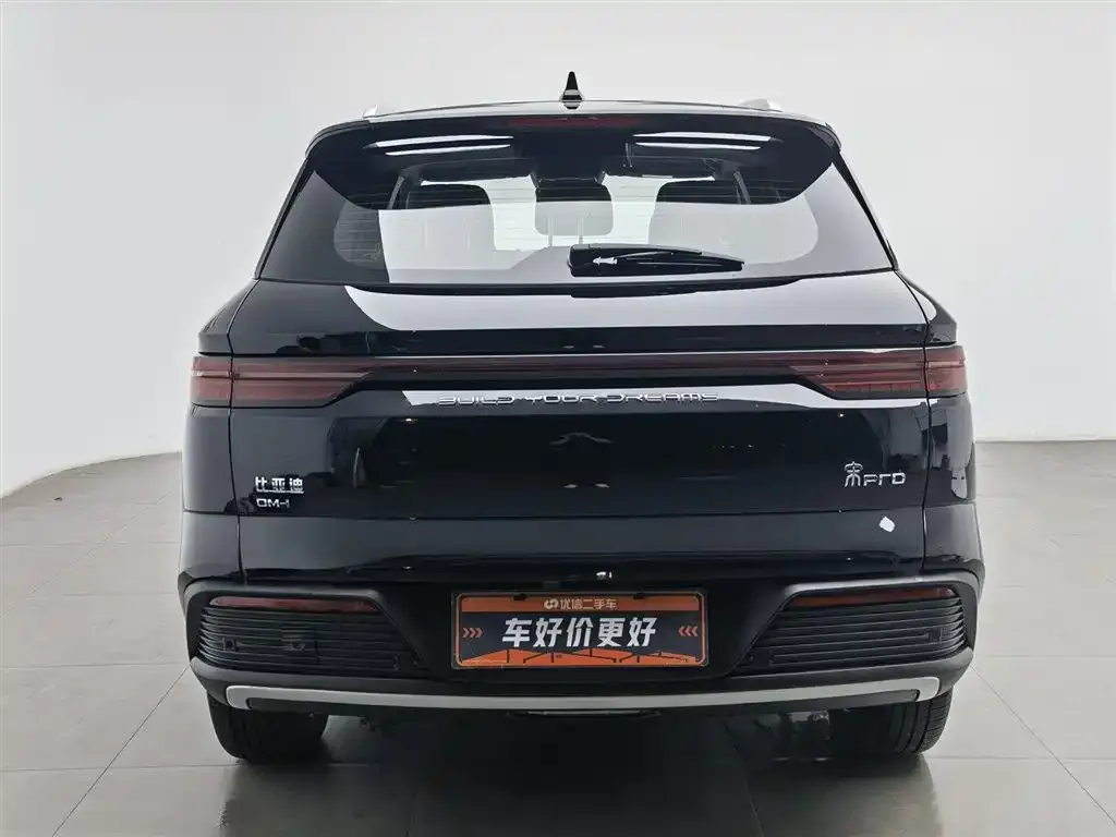 BYD Pro New Energy — фото 5