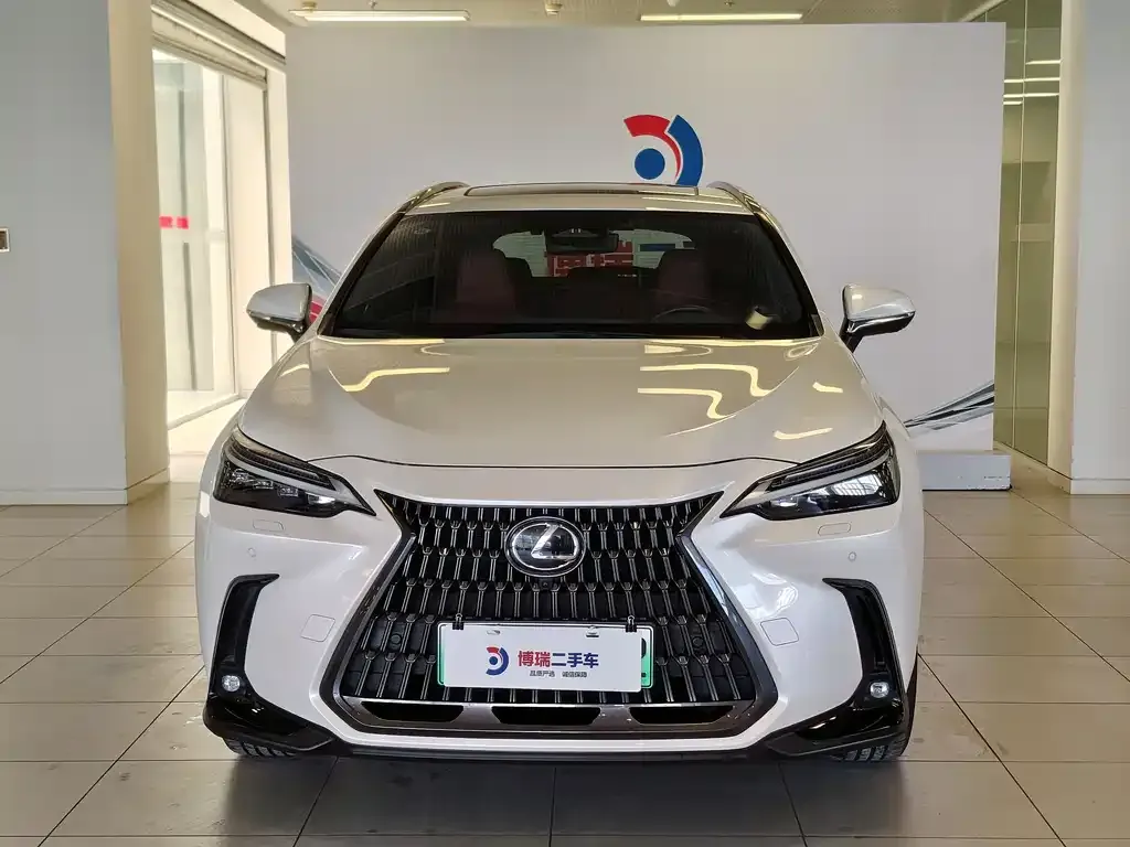 Lexus NX New Energy — фото 8