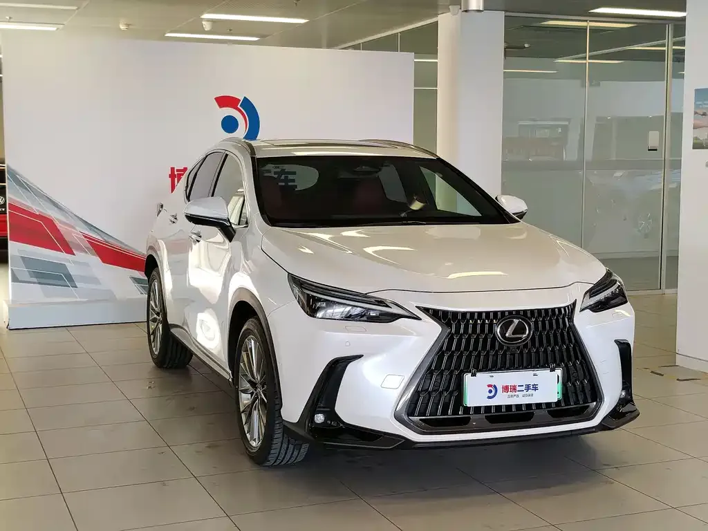 Lexus NX New Energy — фото 9