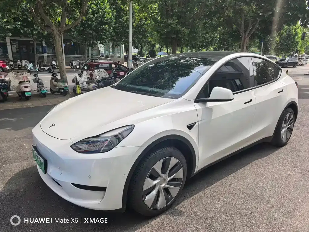 Tesla Model Y — фото 1