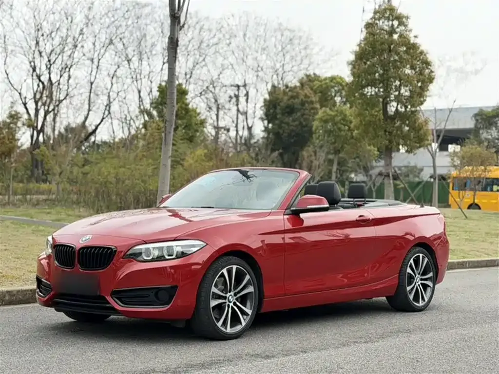 BMW 2 Series (Import) — фото 1