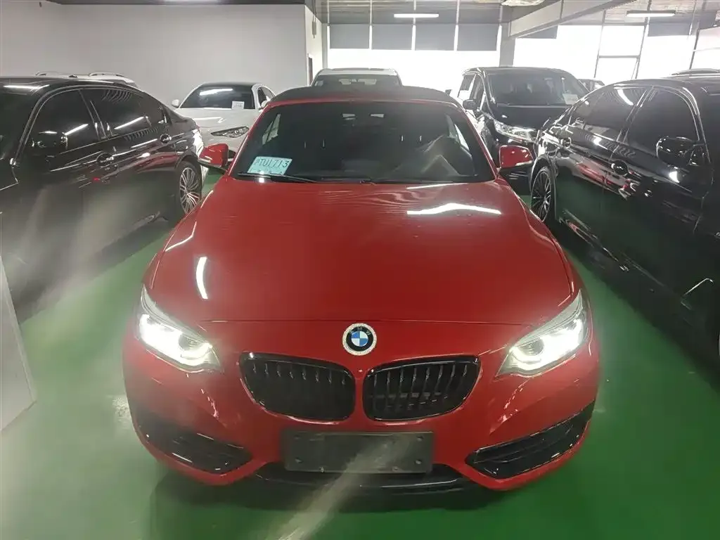 BMW 2 Series (Import) — фото 3