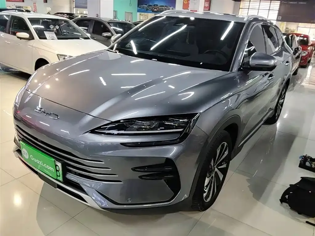 BYD PLUS New Energy — фото 1