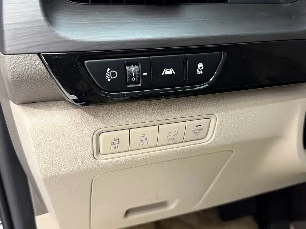 Kia Carnival — фото 10