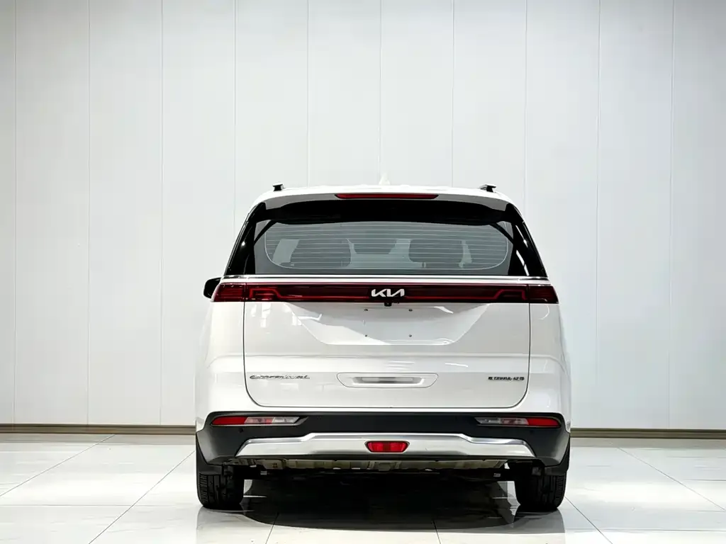 Kia Carnival — фото 5