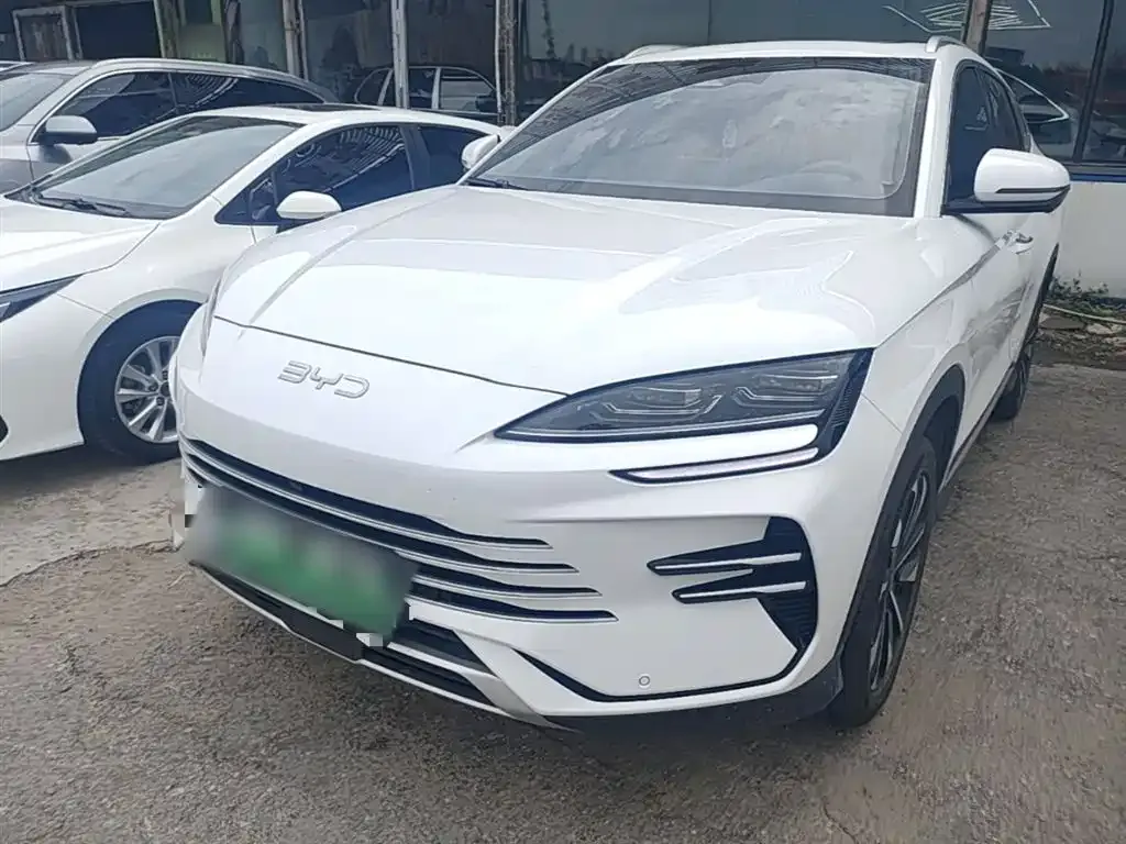 BYD PLUS New Energy — фото 1