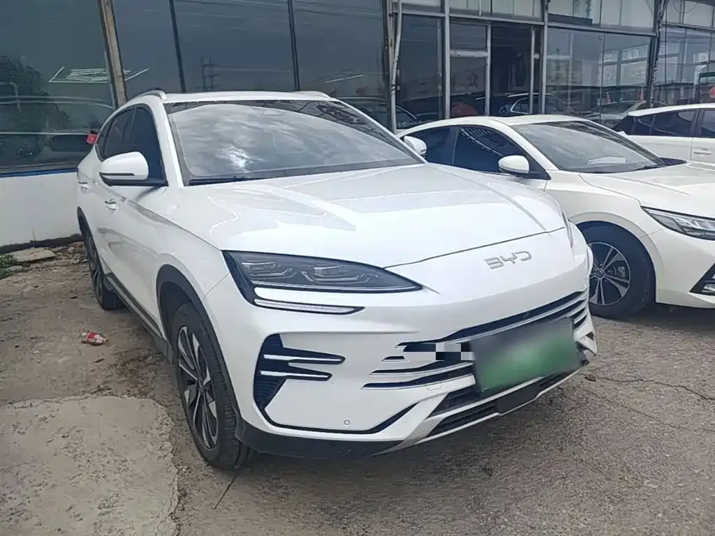 BYD PLUS New Energy — фото 2