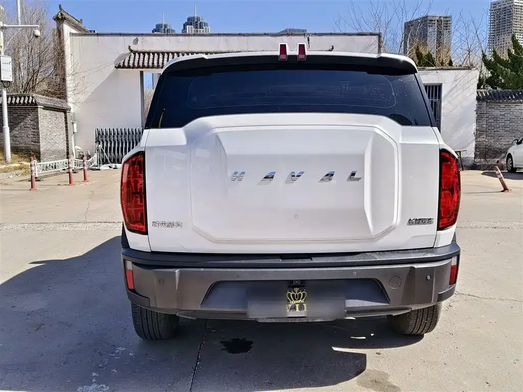 Haval Cool Dog — фото 10