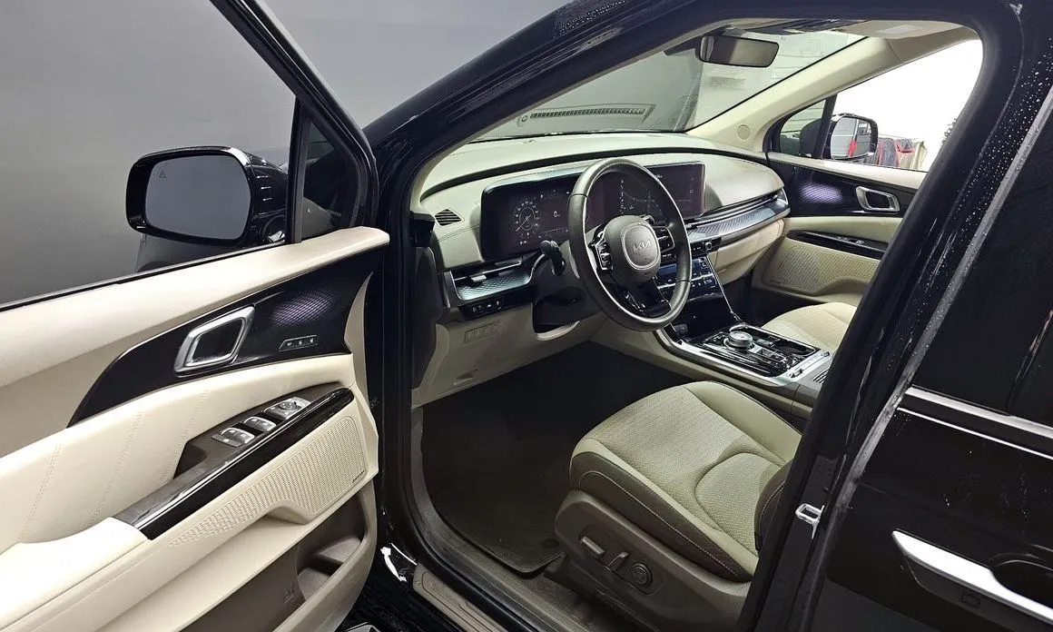 Kia Carnival — фото 10
