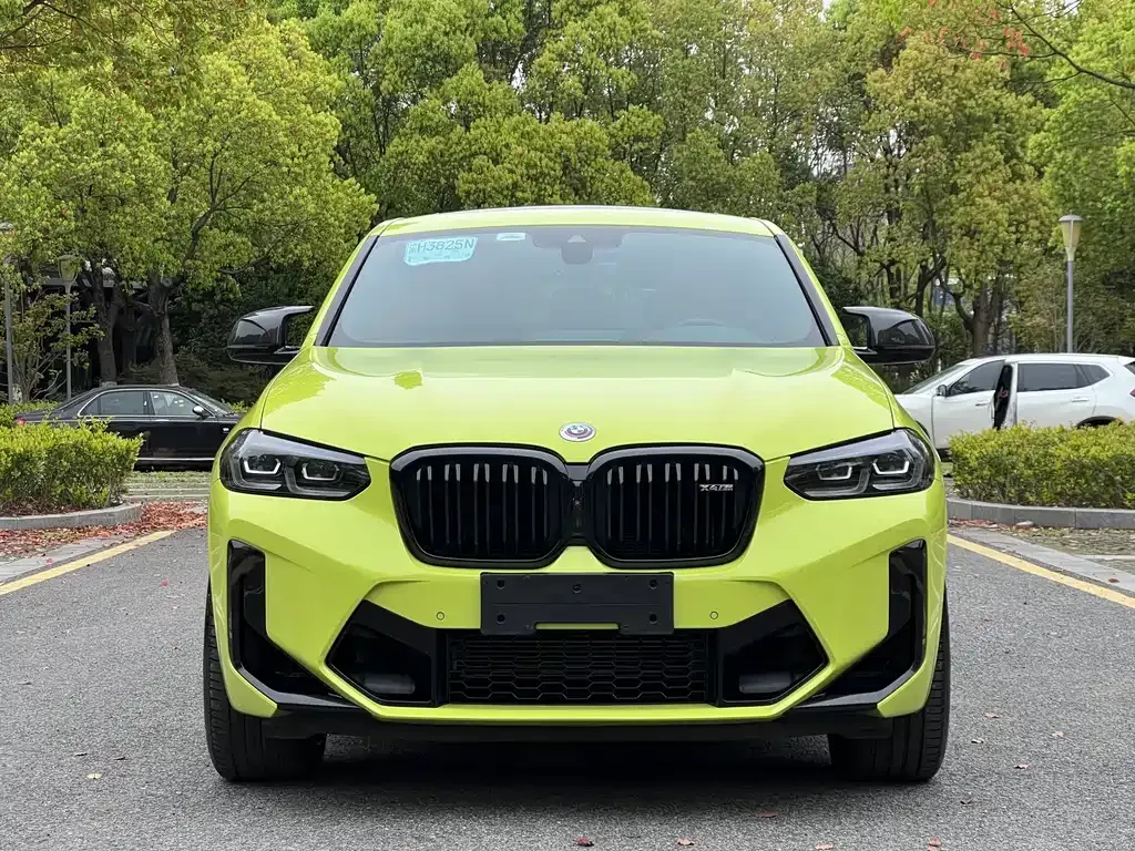 BMW X4 M — фото 10