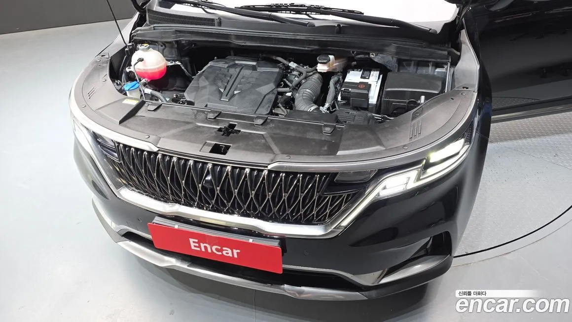 Kia Carnival — фото 10