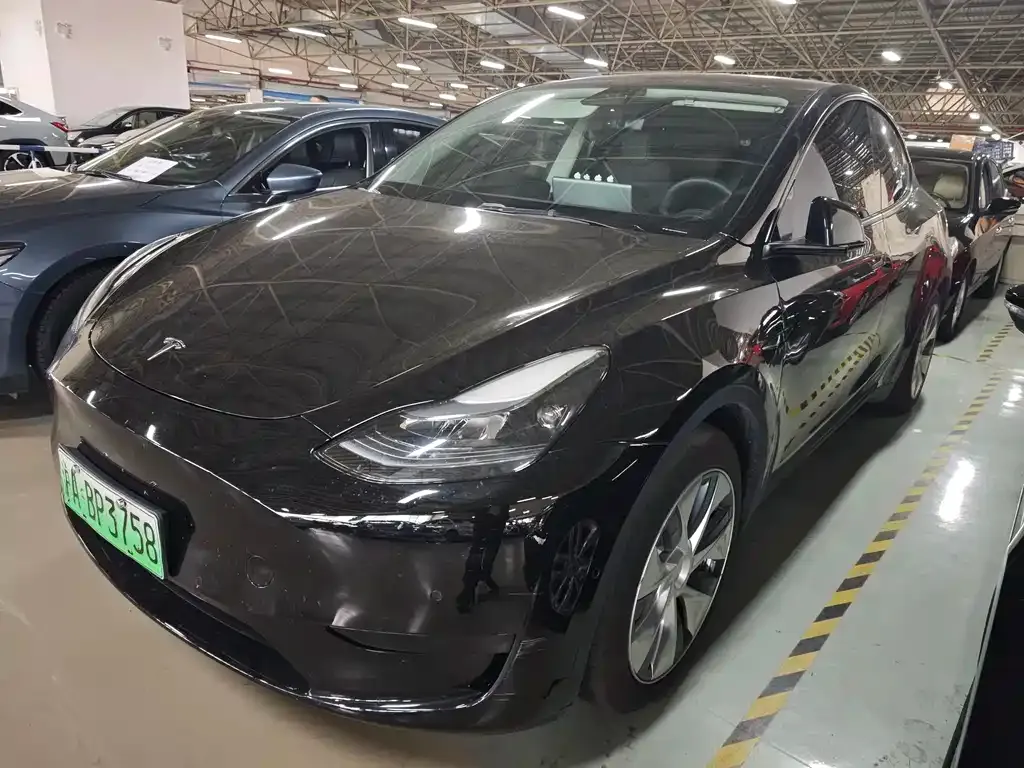 Tesla Model Y — фото 1