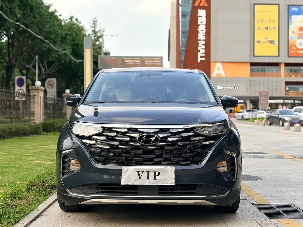 Hyundai Custo — фото 3