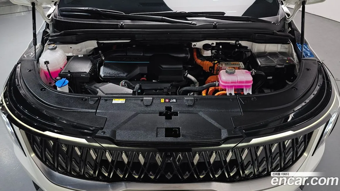 Kia Carnival — фото 8