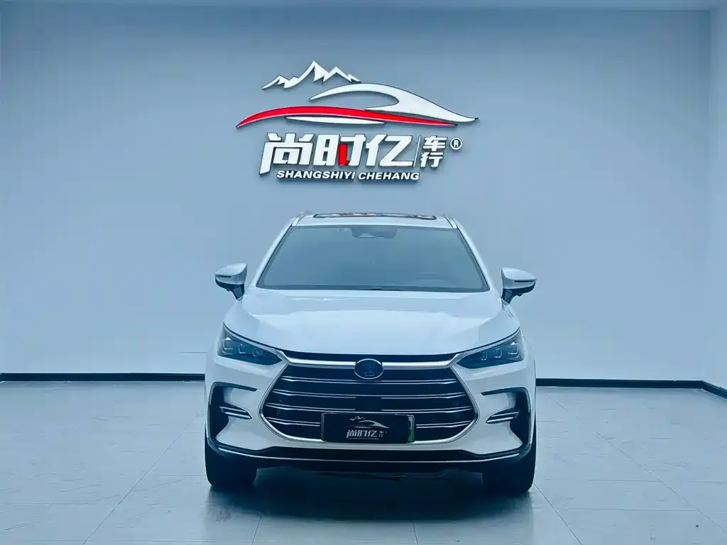 BYD Tang New Energy — фото 8