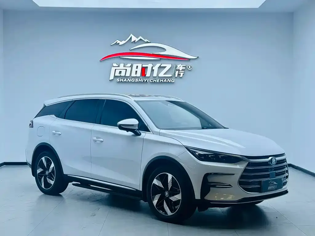 BYD Tang New Energy — фото 10