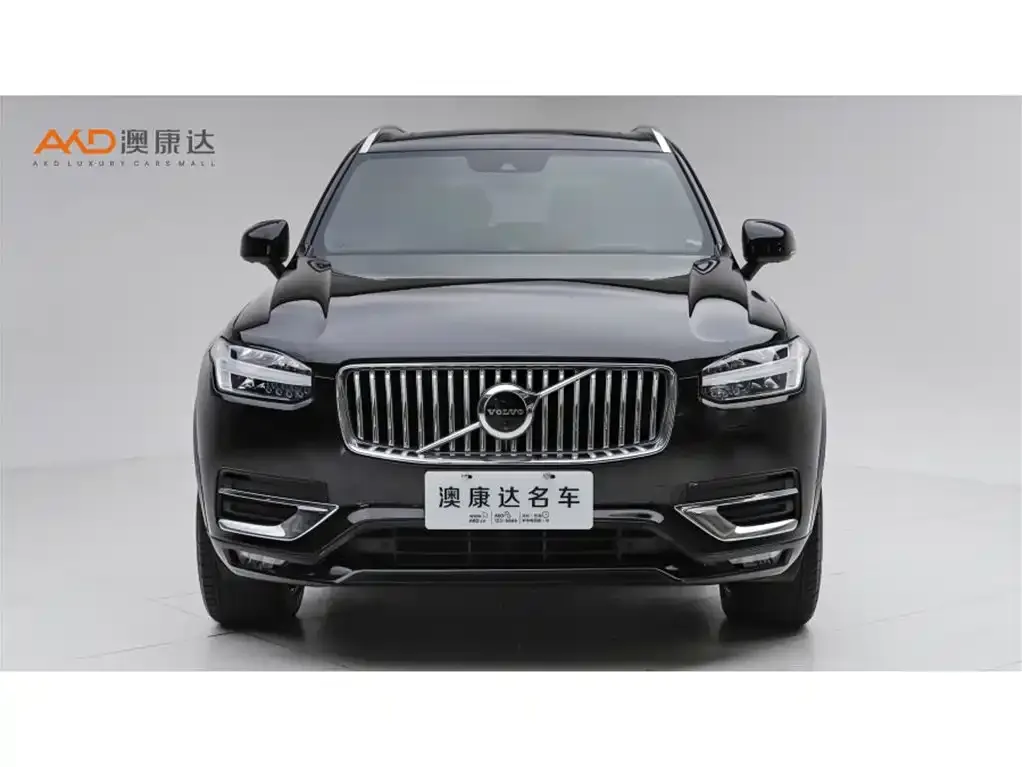 Volvo XC90 — фото 10