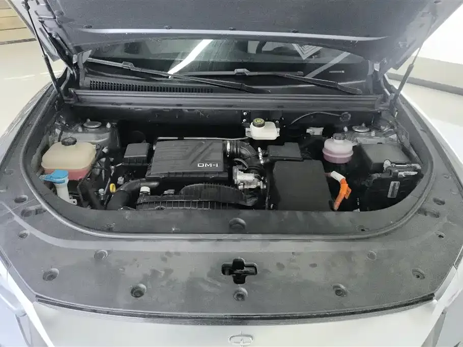 BYD Pro New Energy — фото 4