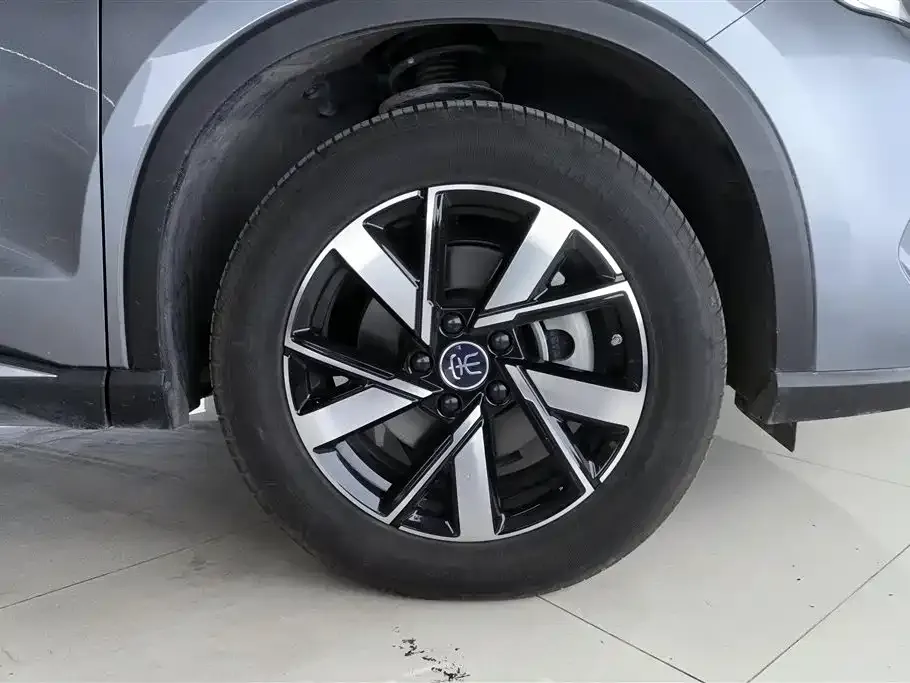 BYD Pro New Energy — фото 8