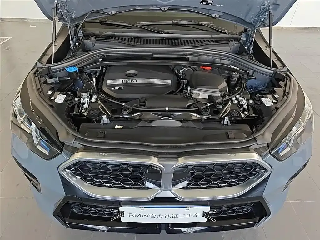 BMW X2 (Import) — фото 4